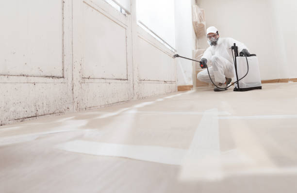Post-remediation clearance in Bellevue